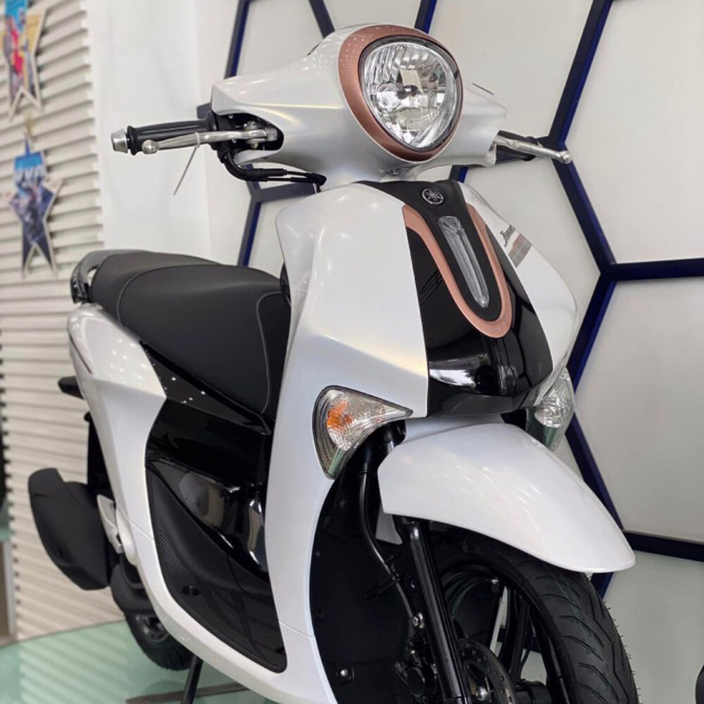 dán tem chống xước xe Janus