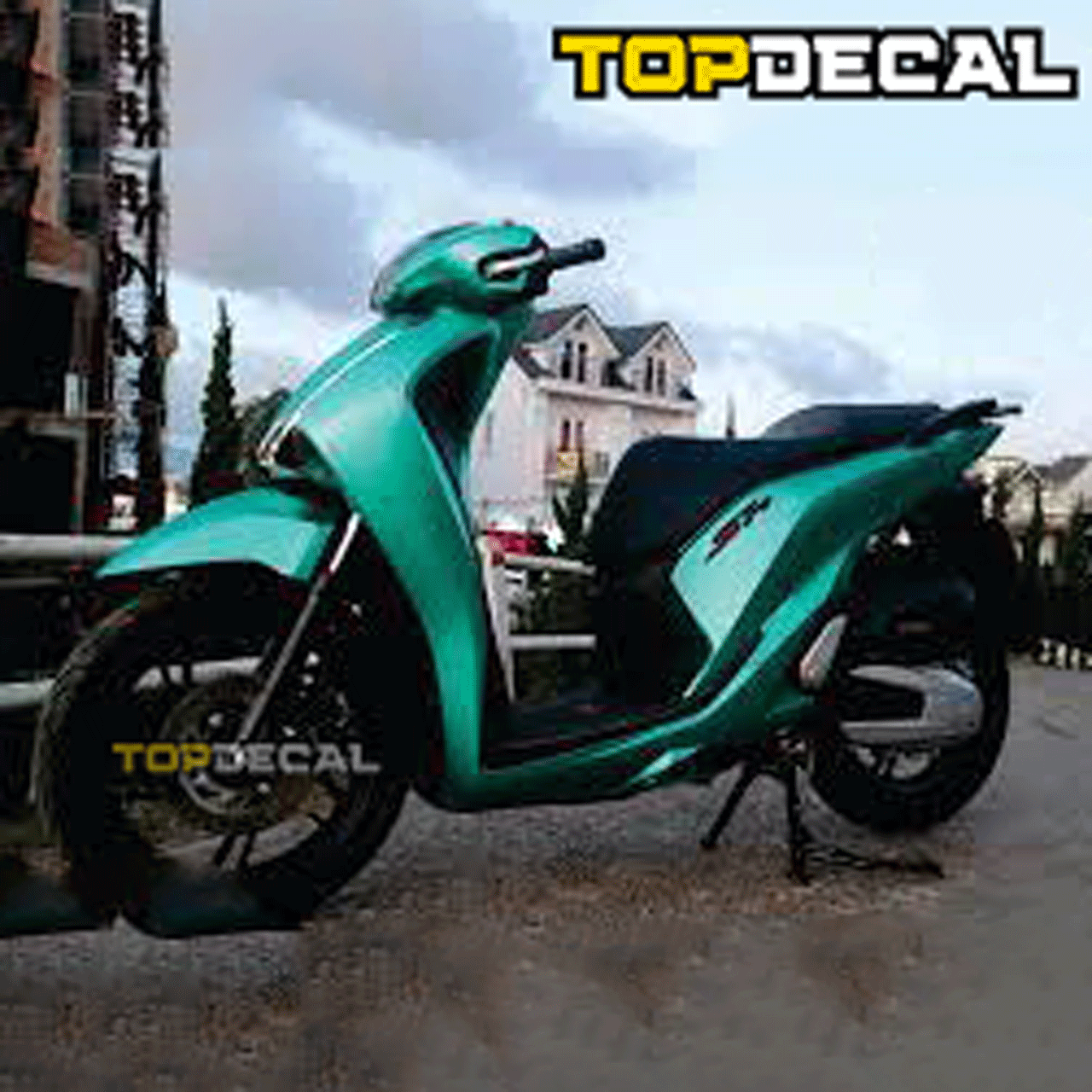 decal dán xe SH màu xanh lục bảo