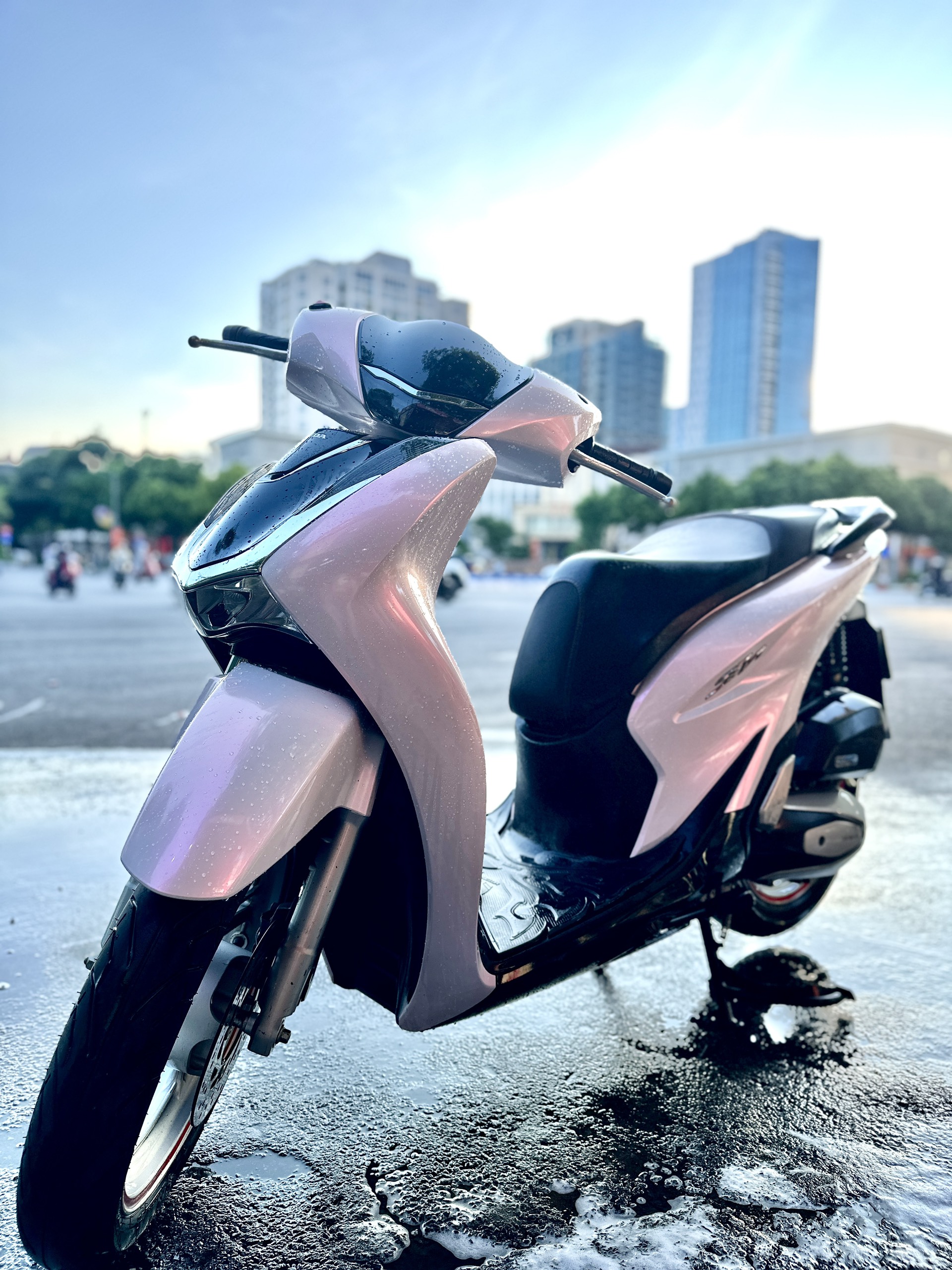 Dán xe Sh màu trắng ánh hồng hoa anh đào điểm đen