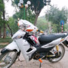 Dán xe Wave màu trắng